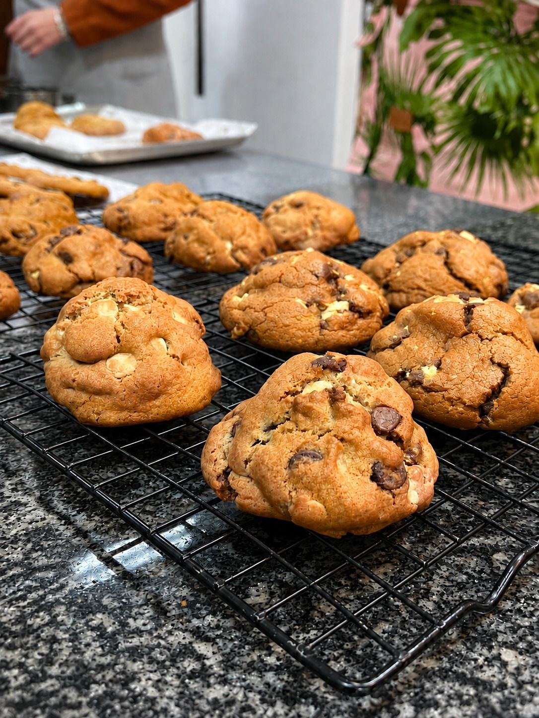Cookies assados em primeiro plano, com uma assadeira ao fundo